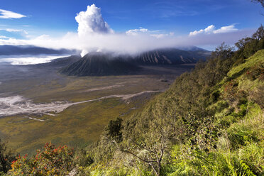 Indonesia, East Java, Bromo Tengger Semeru National Park, Mount Bromo, Mount Semeru - FPF00118