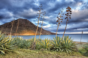 Spanien, Naturpark Cabo de Gata-Nijar, Playa de los Genoveses - DSGF01353