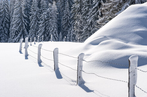 Schneebedeckte Bäume und Zaun - HHF05482