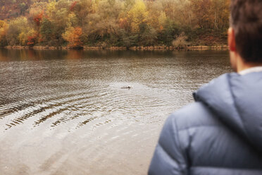 Mann mit Hund beim Schwimmen in einem See im Herbst - MFRF00839