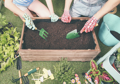 Ein Ehepaar bereitet den Boden für die Anpflanzung von Gemüse in einem Container ihres städtischen Gartens vor, lizenzfreies Stockfoto