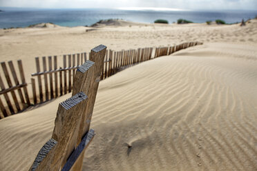 Spanien, Andalusien, Punta Paloma Sanddünen bei Tarifa - DSGF01369