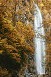 Spanien, Kanarische Inseln, La Palma, Biosphärenreservat Los Tilos, Lorbeerwald und Wasserfall - DSGF01377