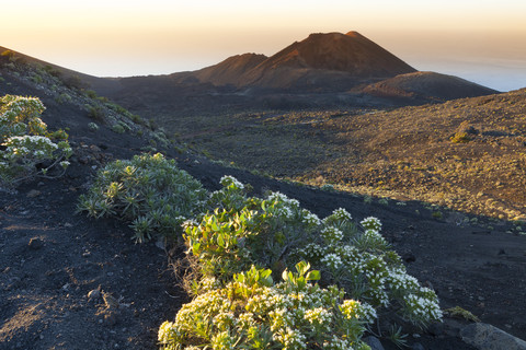 Spain, Canary Islands, La Palma, lava landscape on the Cumbre Nueva stock photo