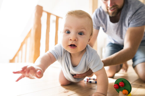 Father supporting crawling baby at home - HAPF01222