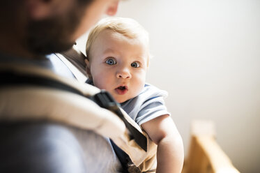 Happy father with baby in baby carrier at home - HAPF01236