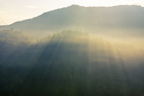 USA, North Carolina, Blue Ridge Mountains bei Gegenlicht - SMAF00623