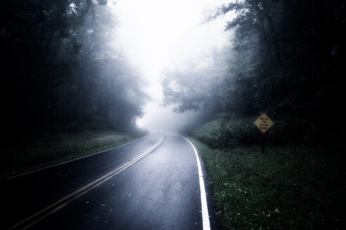 USA, Virginia, Blue Ridge Parkway an einem regnerischen und nebligen Tag - SMA00636