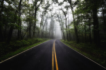 USA, Virginia, empty Blue Ridge Parkway at mist - SMAF00637