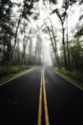 USA, Virginia, empty Blue Ridge Parkway at mist - SMAF00638