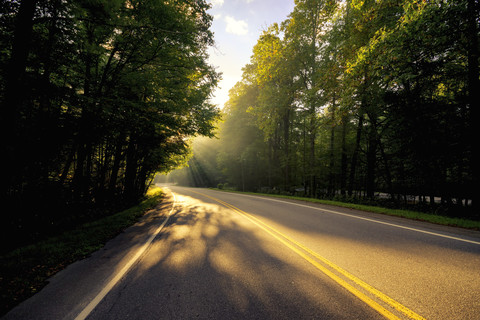 USA, Virginia, leerer Blue Ridge Parkway bei morgendlichem Sonnenlicht, lizenzfreies Stockfoto