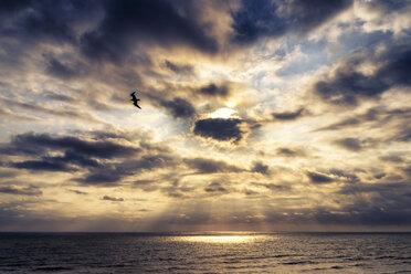 USA, Virginia, cloudy atmosphere and sunbeams on the sea - SMAF00645