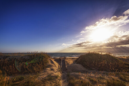 USA, North Carolina, Outer Banks, Stranddünen von Nags Head - SMAF00647