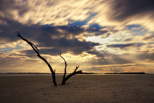 USA, South Carolina, Sonnenuntergang am Folly Beach - SMAF00653
