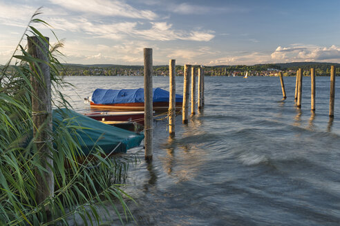 Deutschland, Baden-Württemberg, Blick auf den Bodensee mit Reichenau im Hintergrund - SHF01931