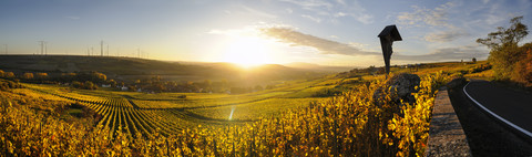 Deutschland, Rheinland-Pfalz, Weinberg im Herbst bei Sonnenuntergang, lizenzfreies Stockfoto
