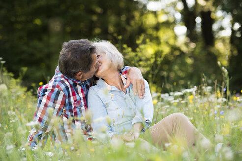 Älteres Paar küsst sich auf einer Wiese - HAPF01240