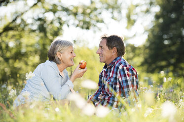 Senior couple relaxing together on a meadow - HAPF01245