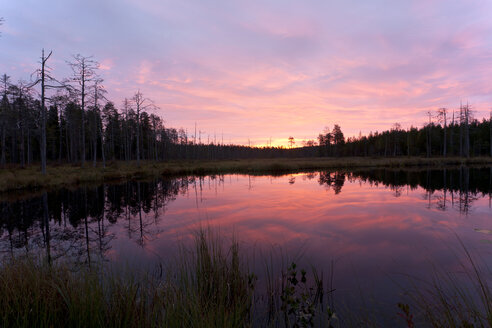 Finnland, Nordkarelien, Kuhmo, See in der Taiga in der Morgendämmerung - ZCF00452