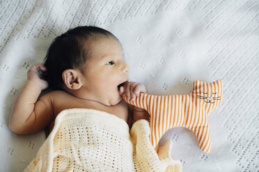 Newborn lying with toy cat on bed - GEMF01303