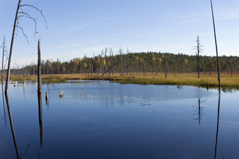 Finnland, Nordkarelien, Kuhmo, See in der Taiga - ZCF00454