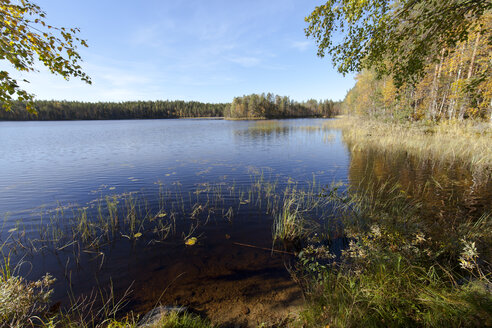 Finnland, Nordkarelien, Kuhmo, See in der Taiga - ZCF00455