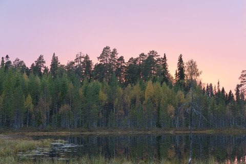 Finnland, Nordkarelien, Kuhmo, See in der Taiga in der Abenddämmerung, lizenzfreies Stockfoto