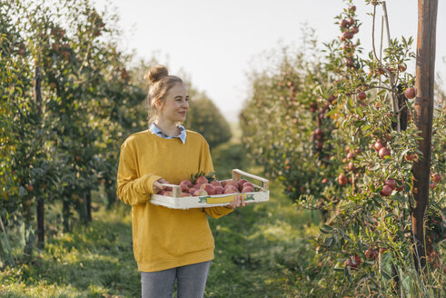 Young woman holding crate with apples in orchard - KNSF00724