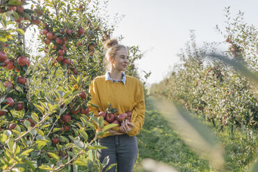 Young woman harvesting apples - KNSF00735