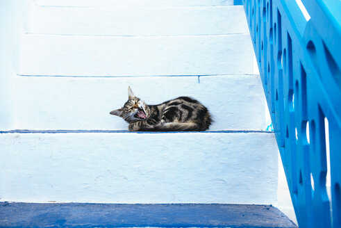 Griechenland, Milos, Gähnende Katze auf Treppe liegend - GEMF01314
