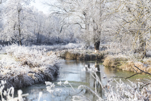 Deutschland, Winterlandschaft - SARF03093