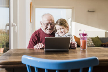 Großvater und Enkelin benutzen gemeinsam einen Laptop - UUF09535