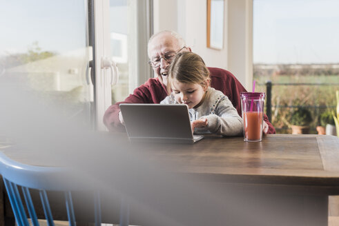 Großvater und Enkelin benutzen gemeinsam einen Laptop - UUF09536