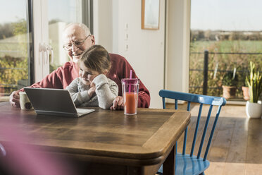 Großvater und Enkelin benutzen gemeinsam einen Laptop - UUF09537