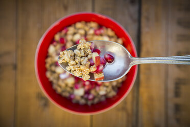 Löffel Granola mit Granatapfelkernen und rotem Apfel, Nahaufnahme - LVF05758