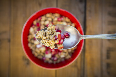 Spoonof granola with pomegranate seed and red apple, close-up - LVF05758