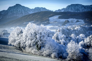 Deutschland, Bayern, Abtei Höglwörth im Winter - HAMF00248