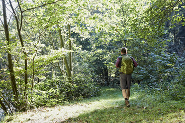 Hiker walking in forest, rear view - FMKF03330