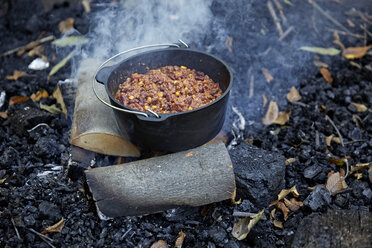 Pot of stew on bonfire in forset - FMKF03349