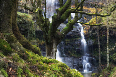 Spanien, Baskenland, Zeanuri, Naturpark Gorbea, Uguna-Wasserfall - DSGF01390