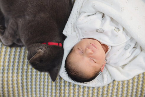 Neugeborenes Mädchen schläft auf der Couch neben einer grauen Katze - GEMF01349