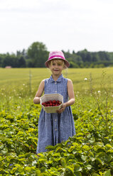 Kleines Mädchen zeigt gepflückte Erdbeeren auf einem Erdbeerfeld - JFEF00820