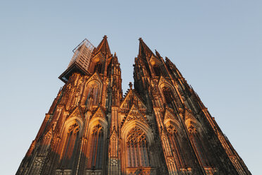 Germany, Cologne, view to Cologne Cathedral from below at sunset - GWF04939