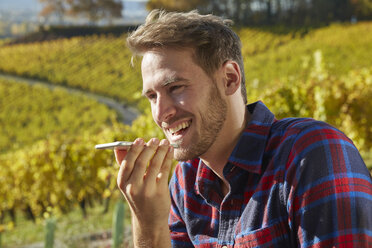 Young man in a vineyard using cell phone - FMKF03365