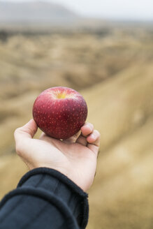 Männliche Hand hält einen roten Apfel - KKAF00279