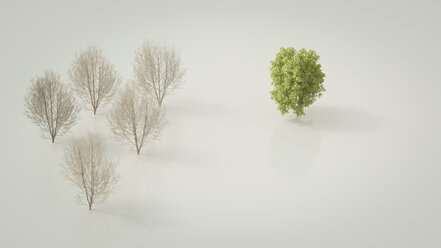 3D-Rendering, Kahle Ahornbäume gegenüberliegender grüner Baum - UWF01092