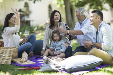 Glückliche Großfamilie beim Picknick - ZEF12322