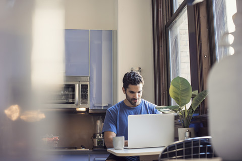 Junger Mann steht in der Küche und benutzt einen Laptop, lizenzfreies Stockfoto