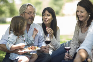 Großfamilie beim Picknick mit Snacks und Wein - ZEF12359