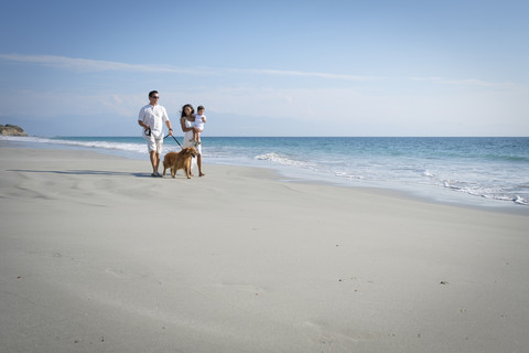 Family walking on the beach with dog stock photo